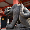石虎