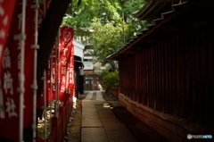 お稲荷さんの径