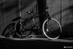 トタンに自転車