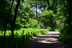 武蔵野植物園
