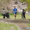 桜ロードを走る