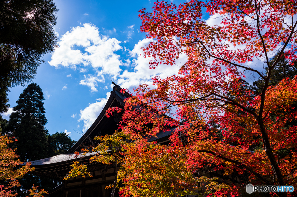 神護寺2