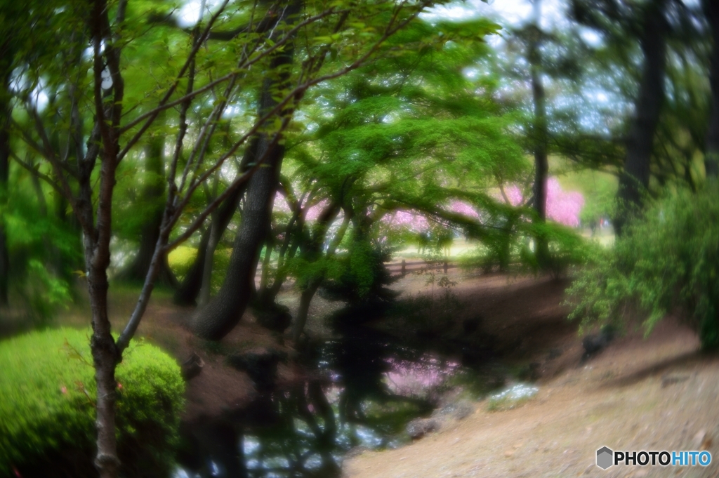 小川に沿って