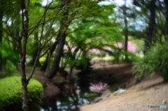 小川に沿って