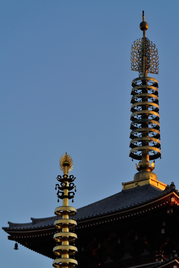 五重塔と張り合う