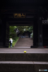 入徳門