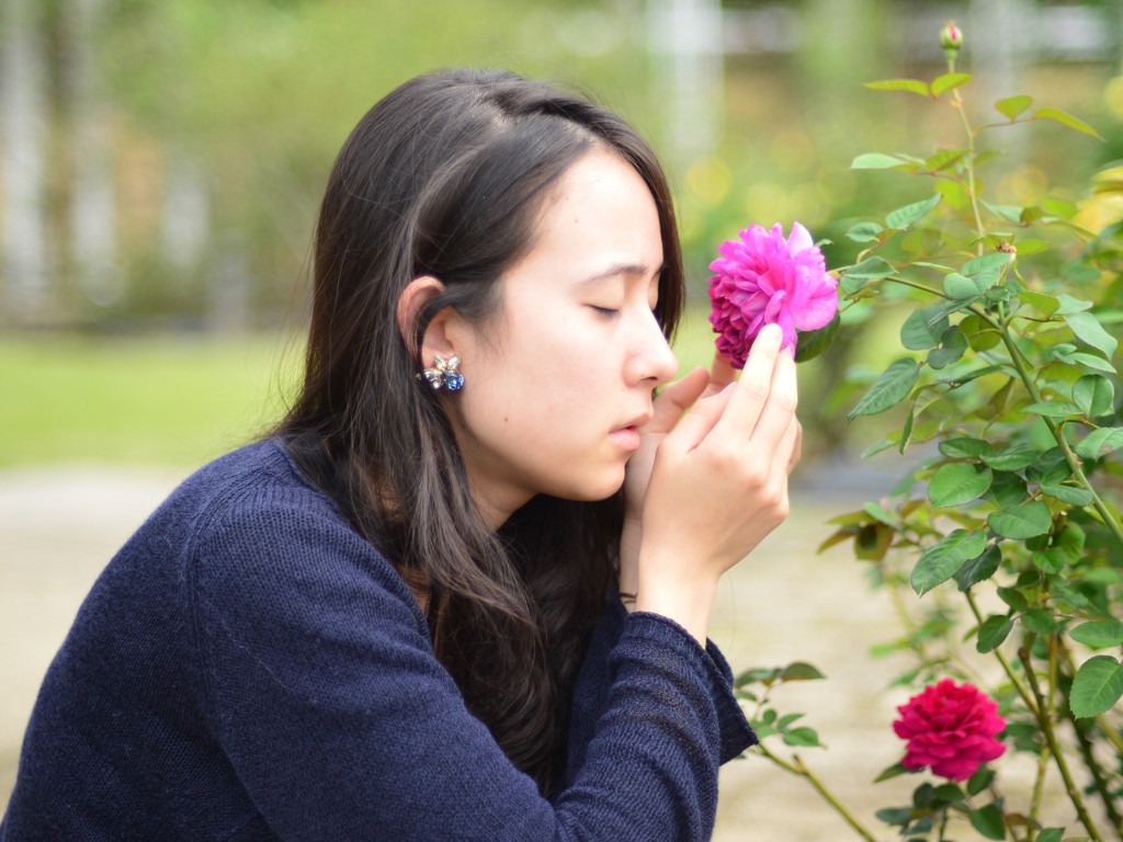 薔薇の唄を聴く