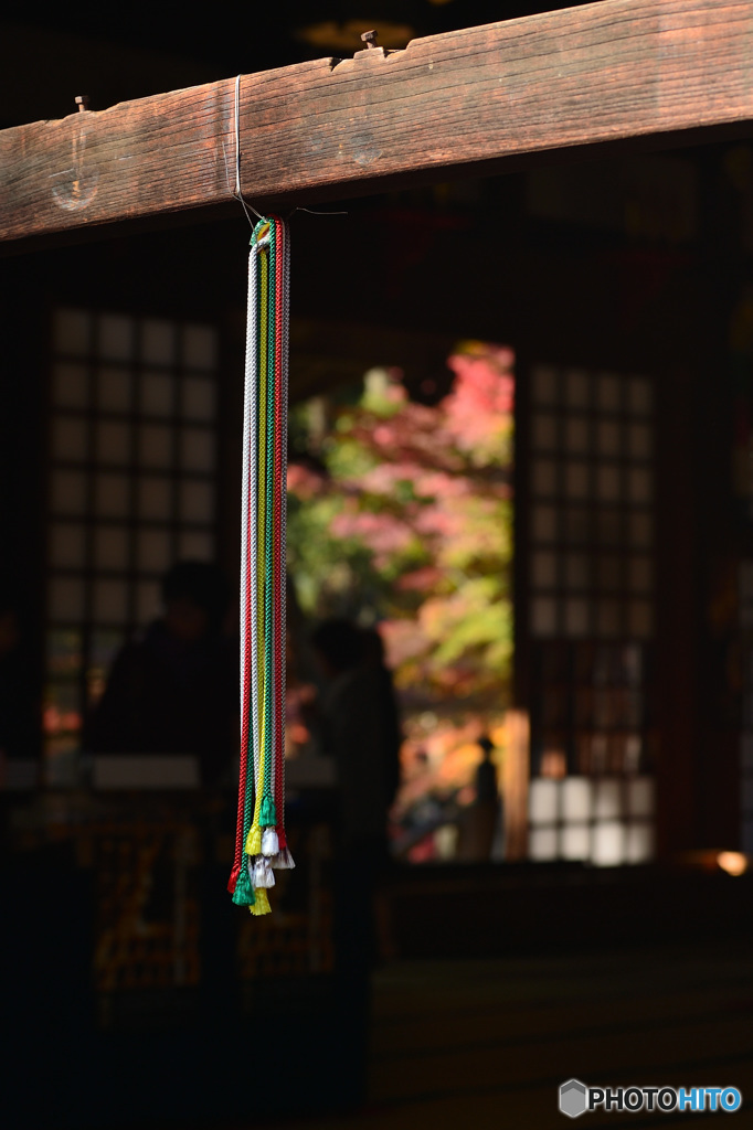 秋の刺し色