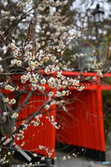 ぶらり北野天満宮3