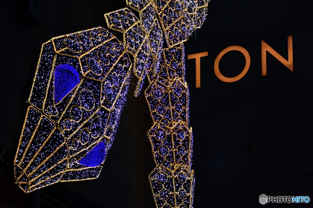 ブルガリヴィトン