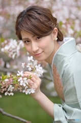 桜と着物べっぴんさん２