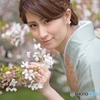 桜と着物べっぴんさん２