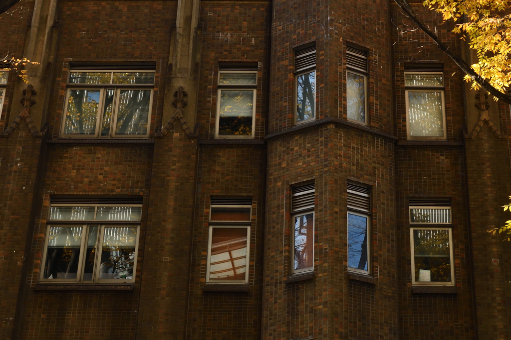 ぶらり本郷キャンパス３