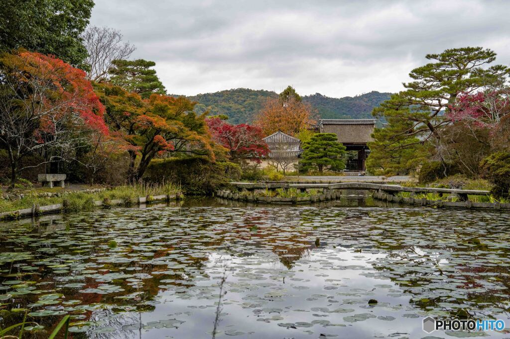 梅宮神苑
