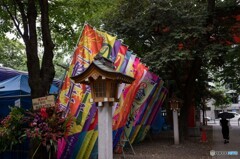 テントが建った