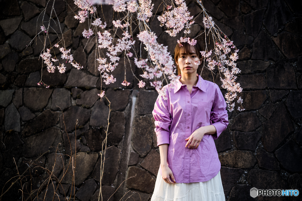 燦めく桜3