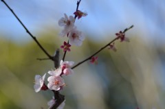 脱いでも凄いんです