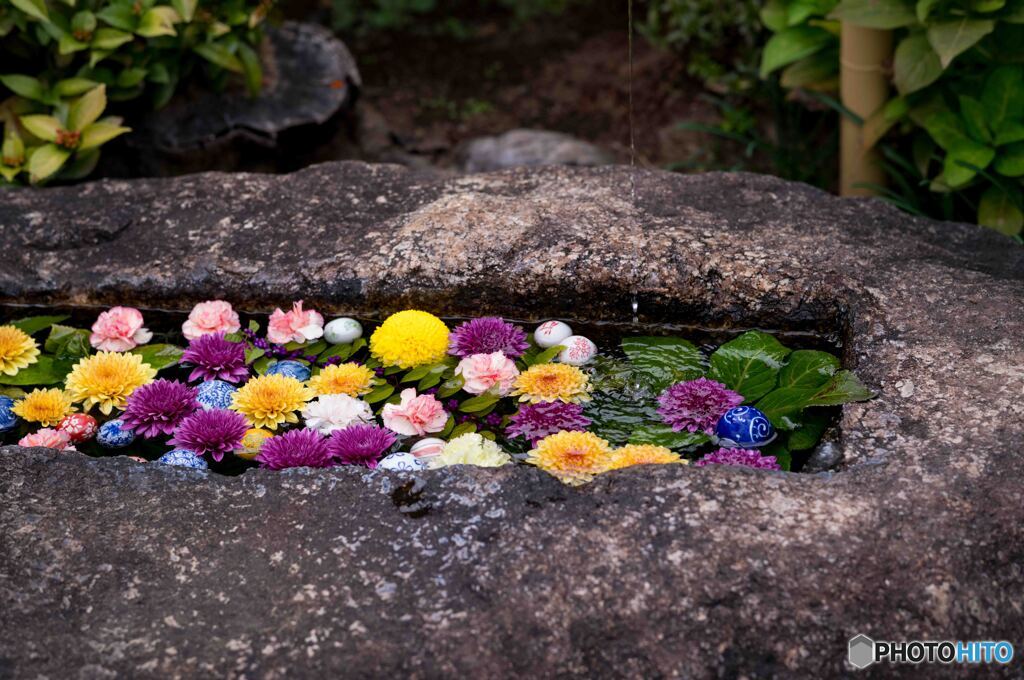 花手水