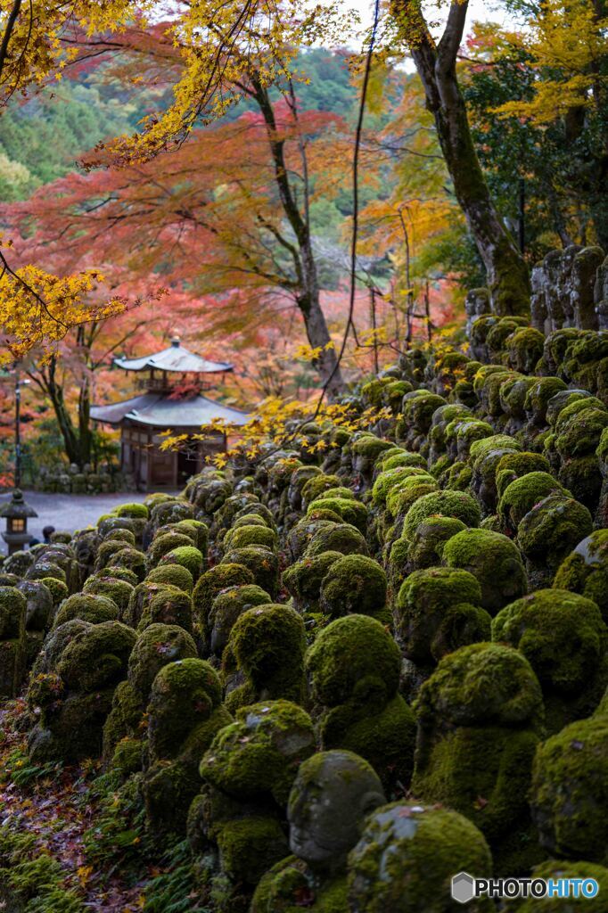 愛宕念仏寺3