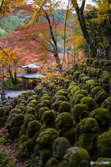 愛宕念仏寺3