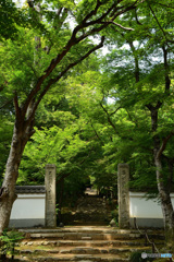 浄住寺
