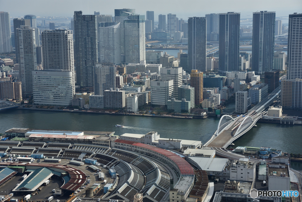 築地市場と新しい橋