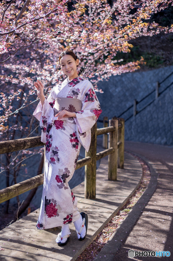 さくらの名所散策路