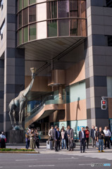 信号待ちのキリン