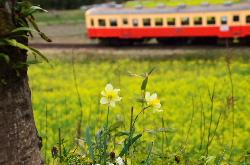 小湊鉄道3