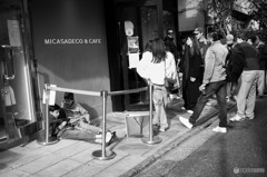 行列の出来るカフェ