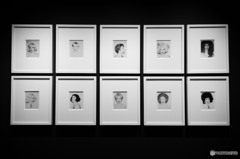 FONDATION LOUIS VUITTON LA COLLECTION
