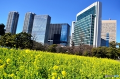 春の坂道