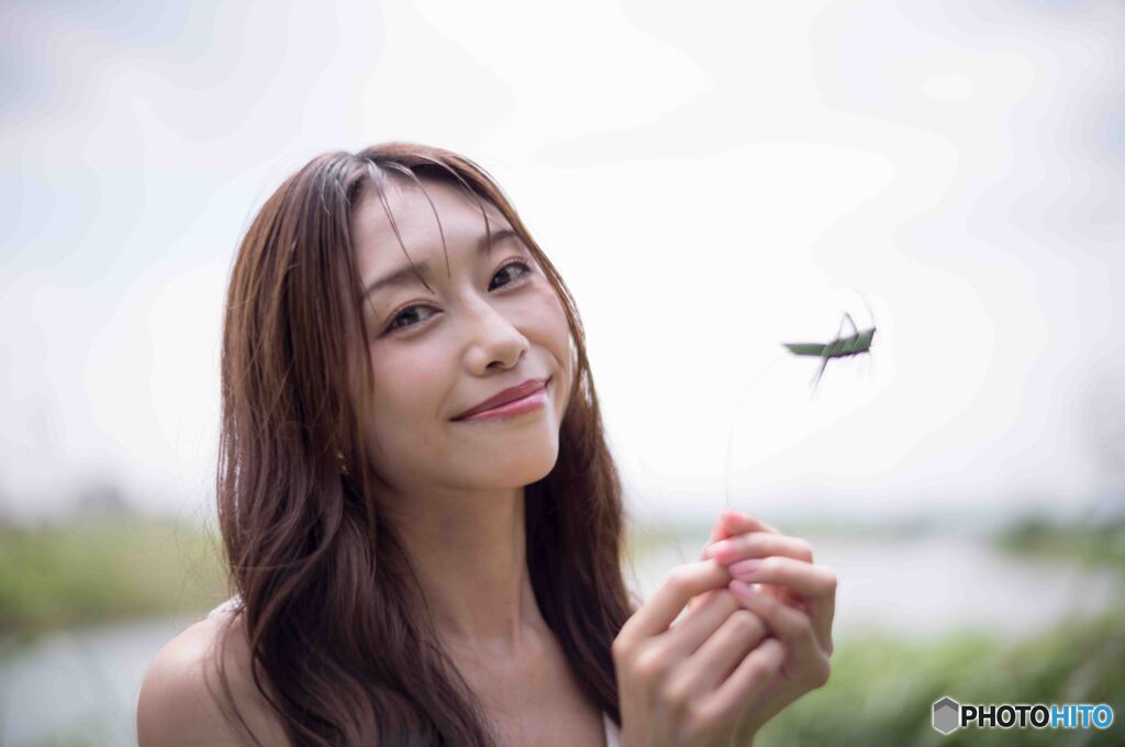 Grasshopper