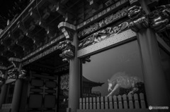 神馬