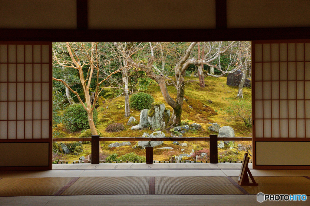 禅寺のお庭
