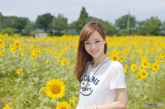 ひまわり畑とかわいこちゃん