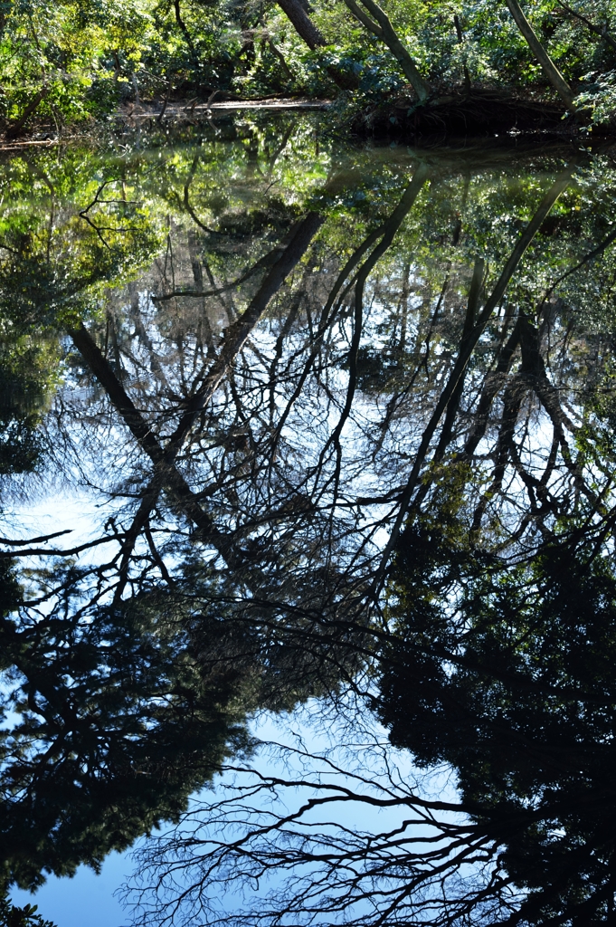 静かな湖畔