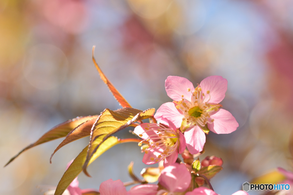 暖かな陽を浴びて