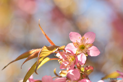 暖かな陽を浴びて