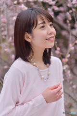 梅を愛でる