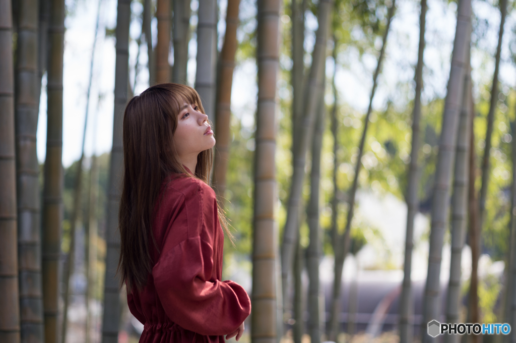 竹林
