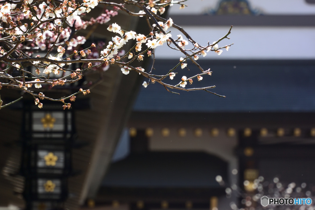 湯島天神２