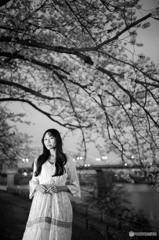 夜桜