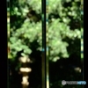 窓の景色1