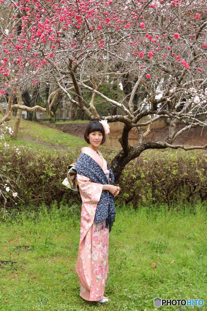 紅梅とべっぴんさん