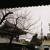 平井聖天2