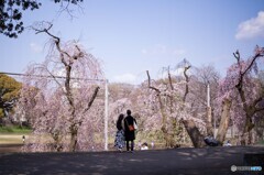 野球場を見下ろす