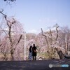 野球場を見下ろす