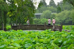 弁天堂へ続く橋