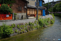 白川
